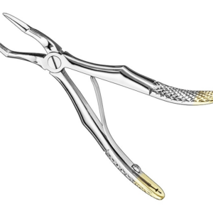 Extracting Forceps, Engli