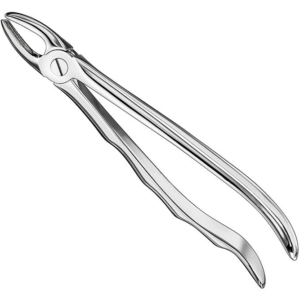 Extracting Forceps Anatom