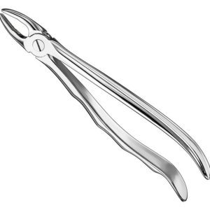 Extracting Forceps Anatom