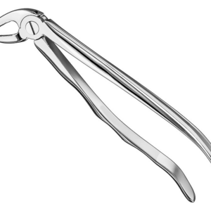 Extracting Forceps Anatom