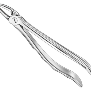 Extracting Forceps Anatom