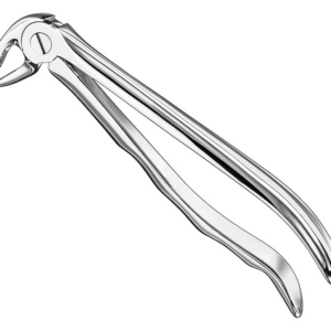 Extracting Forceps Anatom