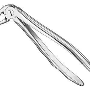 Extracting Forceps Anatom
