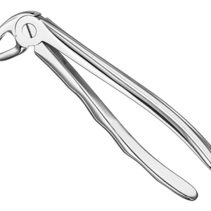 Extracting Forceps Anatom