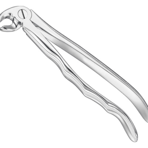 Extracting Forceps Anatom