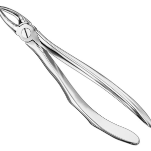 Extracting Forceps Anatom