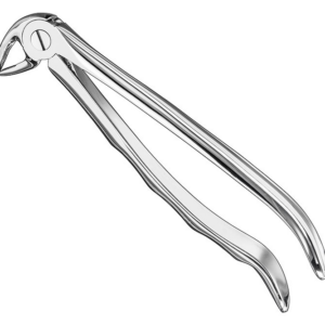 Extracting Forceps Anatom