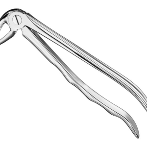 Extracting Forceps Anatom