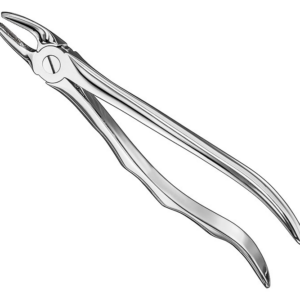 Extracting Forceps Anatom