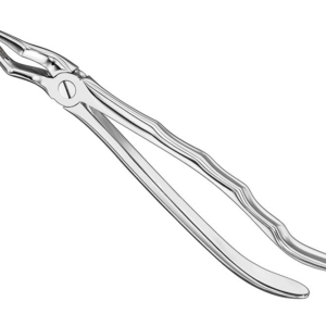 Extracting Forceps Anatom