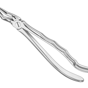 Extracting Forceps Anatom