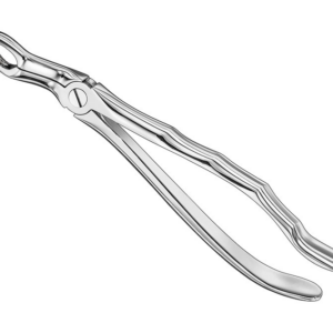 Extracting Forceps Anatom