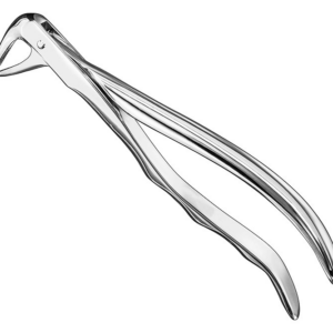 Extracting Forceps Anatom