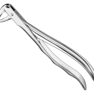 Extracting Forceps Anatom