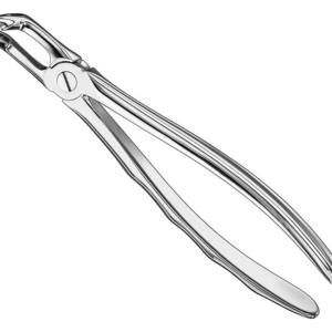 Extracting Forceps Anatom