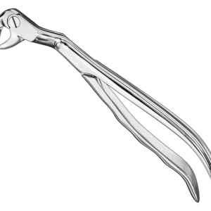 Extracting Forceps Anatom