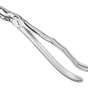 Extracting Forceps Anatom