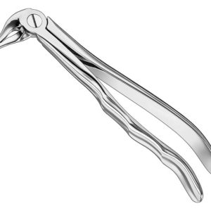 Extracting Forceps Anatom