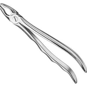 Extracting Forceps Anatom