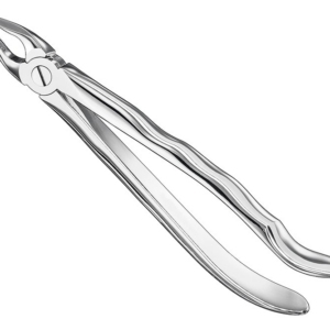 Extracting Forceps Anatom