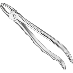 Extracting Forceps Anatom