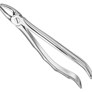Extracting Forceps Anatom