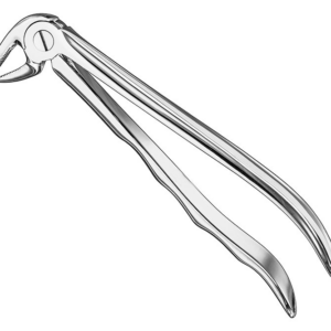Extracting Forceps Anatom