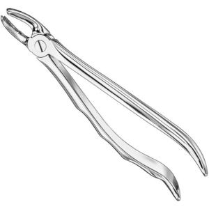 Extracting Forceps Anatom