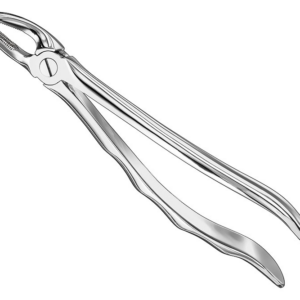 Extracting Forceps Anatom