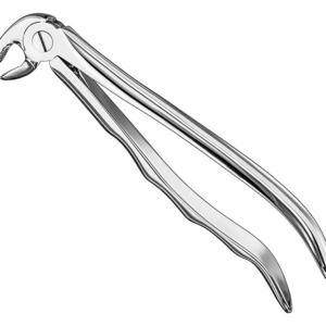 Extracting Forceps Anatom