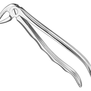 Extracting Forceps Anatom