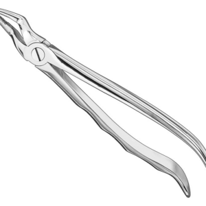 Extracting Forceps Anatom