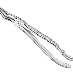 Extracting Forceps Anatom