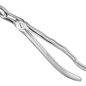 Extracting Forceps Anatom