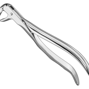 Extracting Forceps Anatom