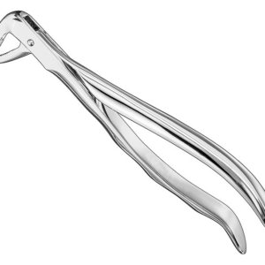 Extracting Forceps Anatom