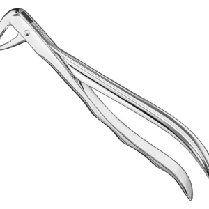 Extracting Forceps Anatom