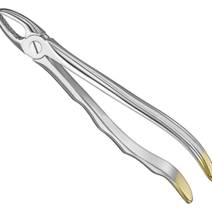 Extracting Forceps Anatom