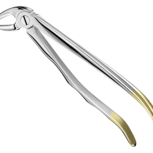 Extracting Forceps Anatom