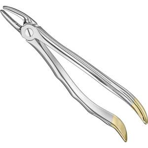 Extracting Forceps Anatom
