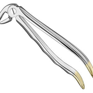 Extracting Forceps Anatom