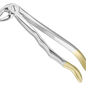 Extracting Forceps Anatom