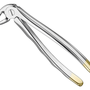 Extracting Forceps Anatom