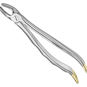 Extracting Forceps Anatom