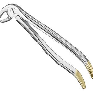 Extracting Forceps Anatom