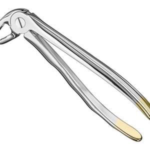 Extracting Forceps Anatom