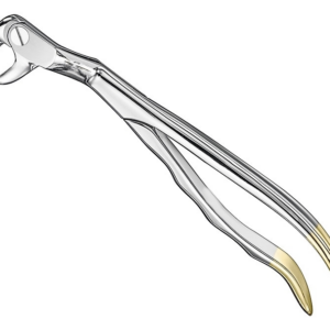 Extracting Forceps Anatom