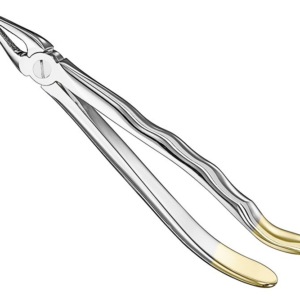 Extracting Forceps Anatom