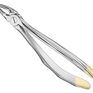 Extracting Forceps Anatom