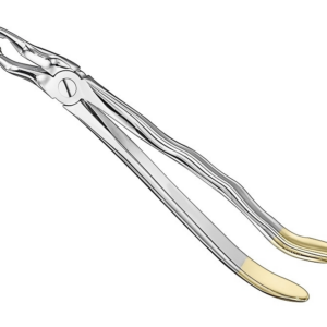 Extracting Forceps Anatom